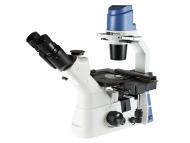 Oxion Inverso / Lab Science Microscopes
